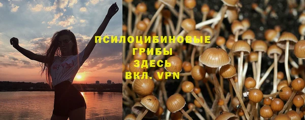 гашик Алзамай