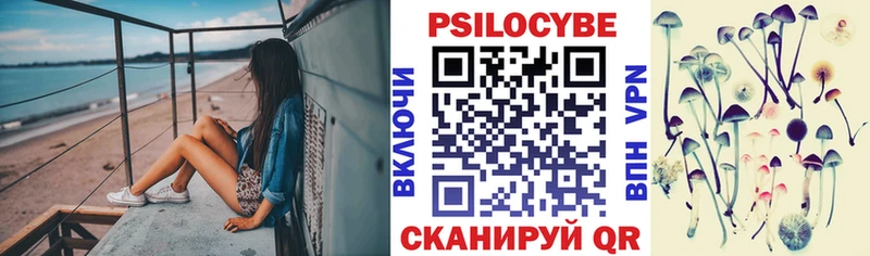 что такое   Грязовец  Галлюциногенные грибы прущие грибы 