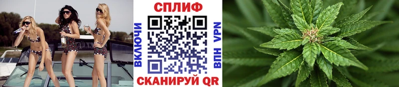 Конопля индика Грязовец